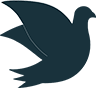 Optimize Visitor Flow with Heat - Pigeon Light B
