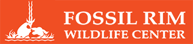 fossilrimorg